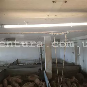 Освещение для с / х помещений Освещение для с / х помещений